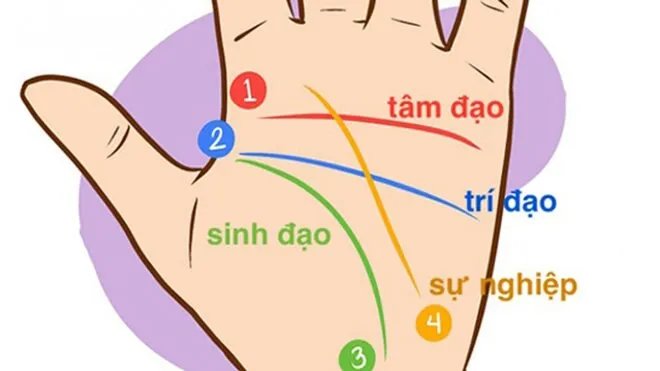 4 đường chỉ tay dự đoán vận mệnh con người