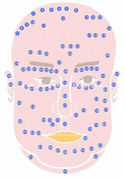 95 Vị Trí Nốt Ruồi Trên Khuôn Mặt – Giải Mã Ý Nghĩa Tốt Xấu