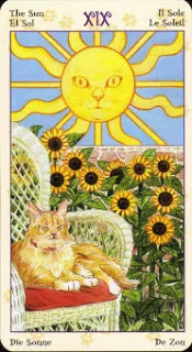 Bói bài Tarot – Bắt mặt đối tác làm giàu của bạn trong tương lai