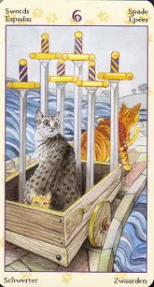 Bói bài Tarot – Khám phá vận may giúp bạn “tiền vào như nước”