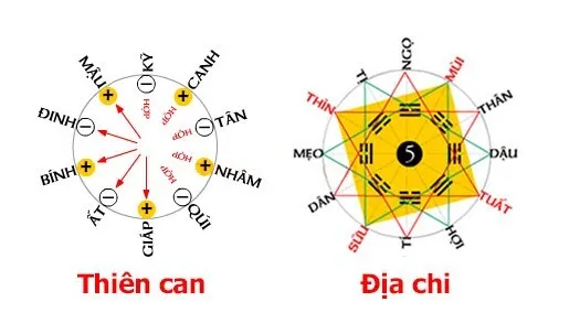 Can chi xung khắc là gì? Mối quan hệ của Thiên can, Địa chi trong ngũ hành