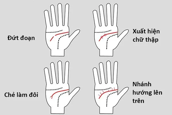 Lý giải đường định mệnh qua tướng tay – Luận giải sự nghiệp, tình duyên