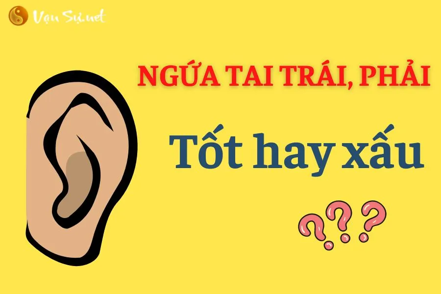 Ngứa Tai Trái, Phải Là Điềm Gì? Tốt Hay Xấu?