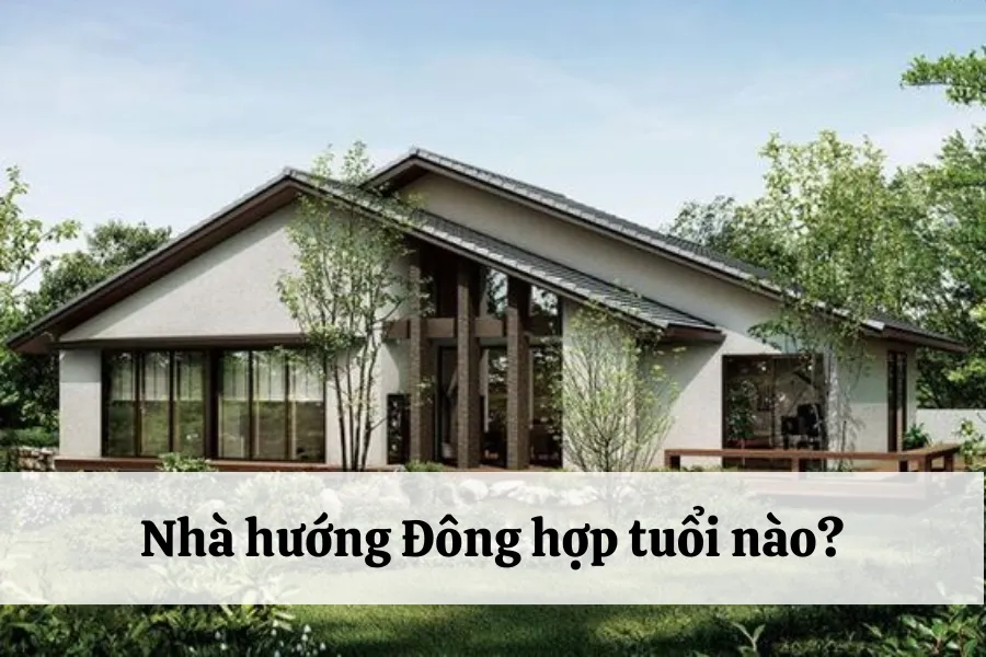 Nhà hướng Đông hợp tuổi gì đem lại phong thủy vượng?