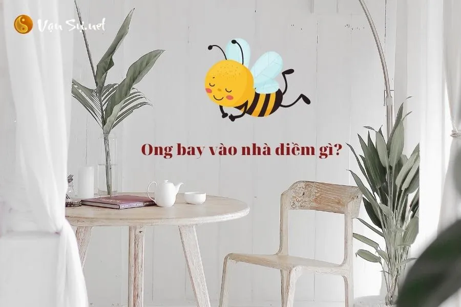 Ong bay vào nhà điềm gì? Hên hay xui? Bật mí con số may mắn