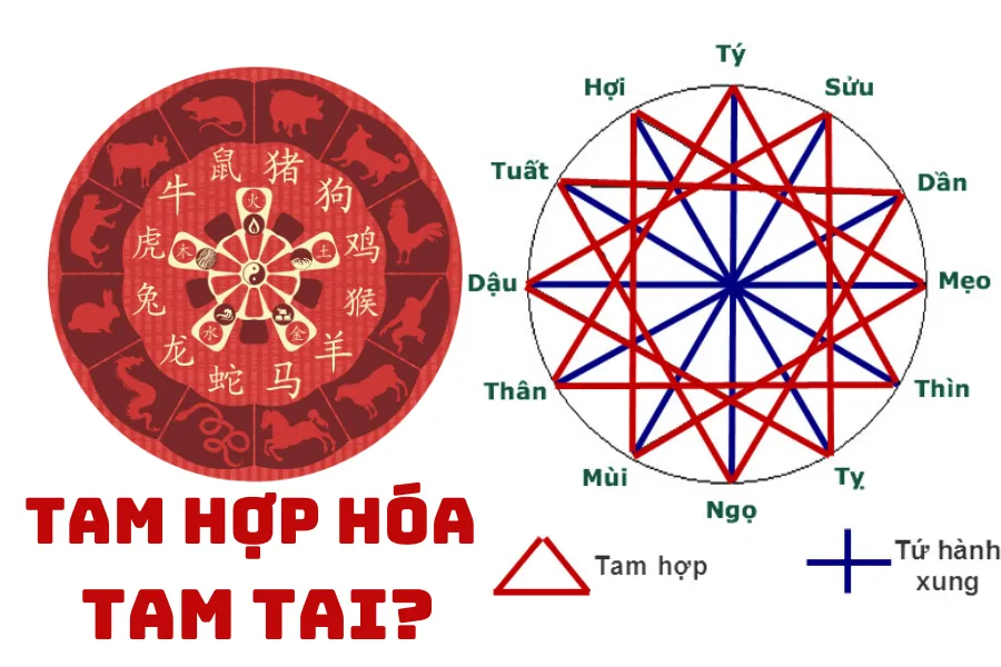 Tam hợp hóa tam tai là gì?