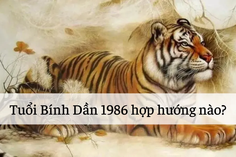 Tuổi Dần hợp hướng nào? Phong thủy hướng hợp tuổi Dần