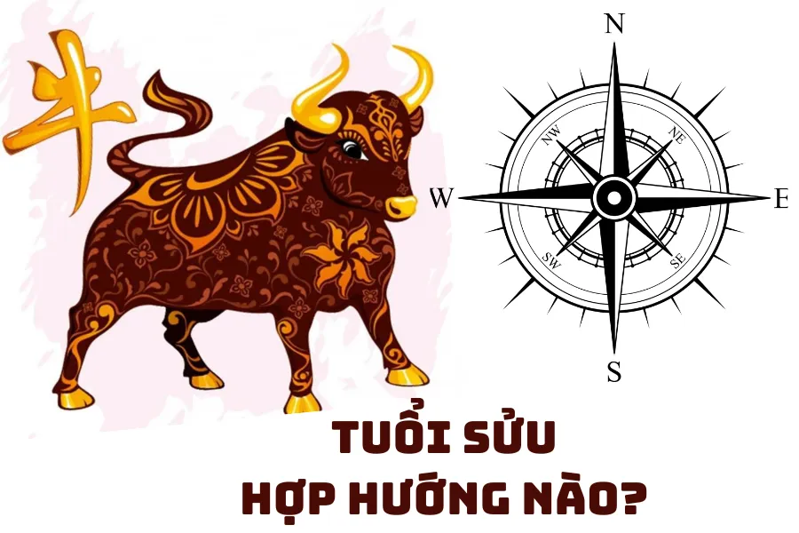 Tuổi Sửu hợp hướng nào? Phong thủy hướng hợp tuổi Sửu