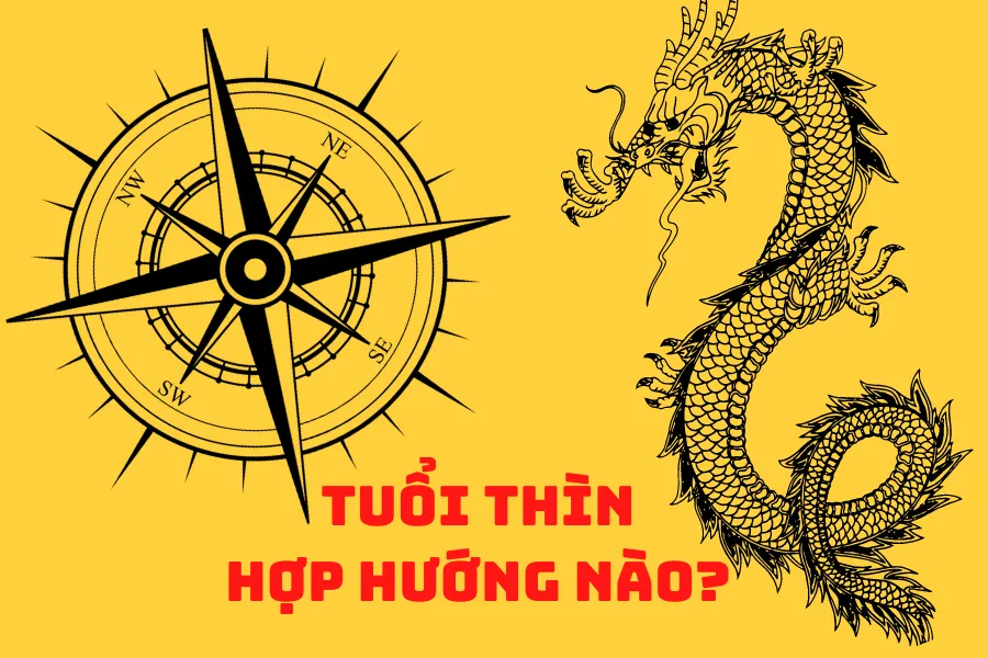 Tuổi Thìn hợp hướng nào? Phong thủy hướng hợp tuổi Thìn