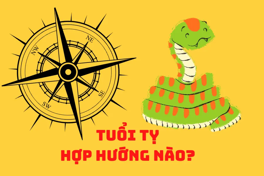 Tuổi Tỵ hợp hướng nào? Phong thủy hướng hợp tuổi Tỵ