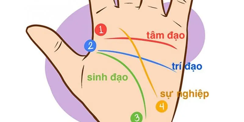 Xem đường chỉ tay công danh, sự nghiệp