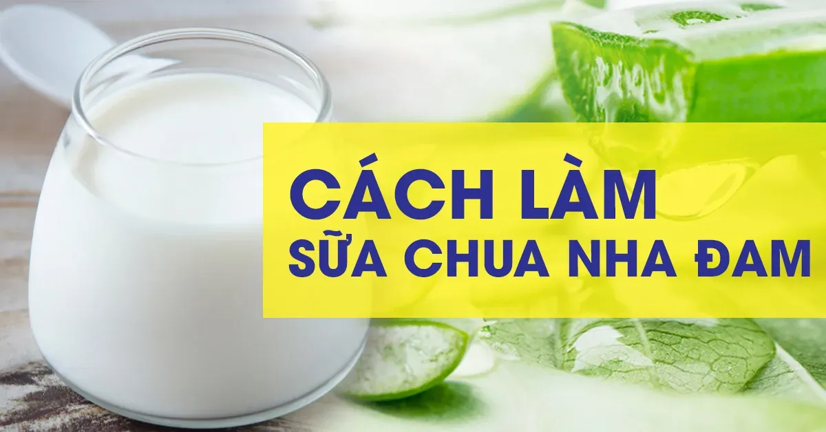 Bật mí cách làm sữa chua nha đam ngon tuyệt tại nhà