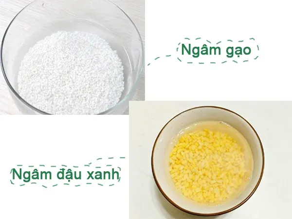 Mách bạn cách nấu xôi đậu xanh dẻo thơm đúng điệu